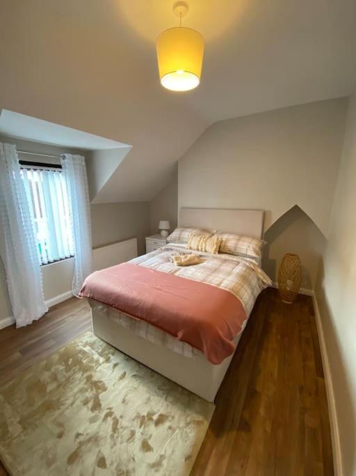 The Cozy Homestay Belfast Eksteriør bilde