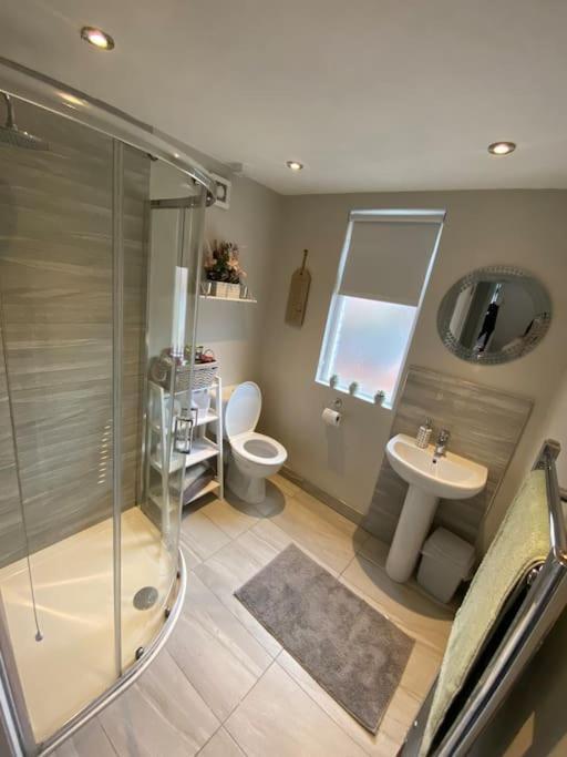 The Cozy Homestay Belfast Eksteriør bilde