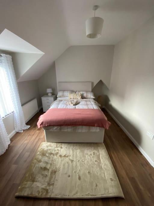 The Cozy Homestay Belfast Eksteriør bilde