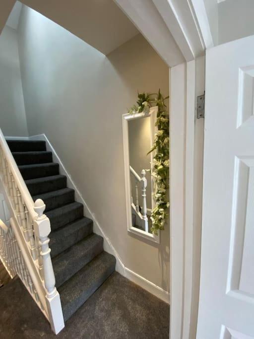 The Cozy Homestay Belfast Eksteriør bilde